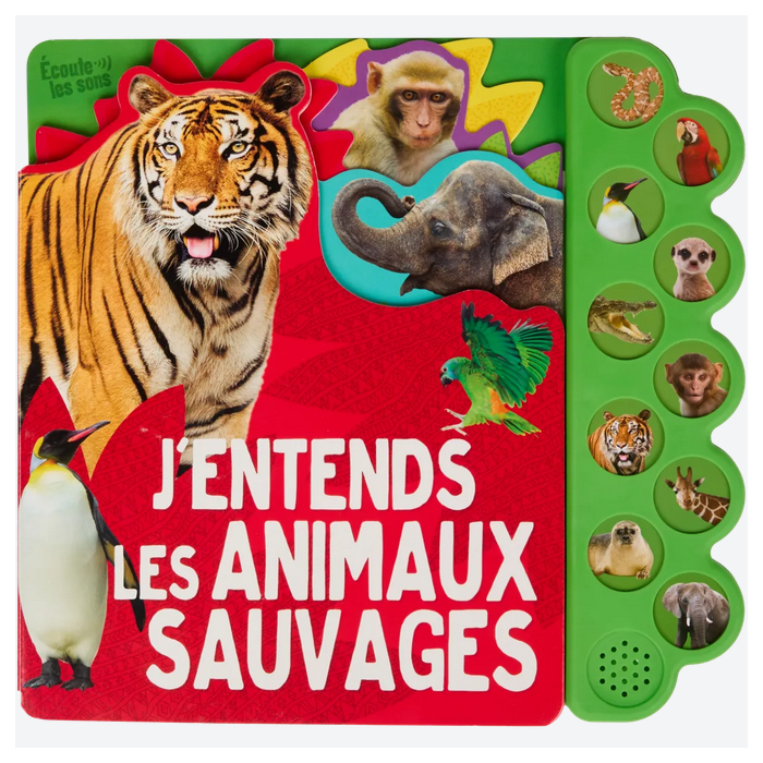 J'entends les animaux sauvages